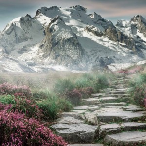 开云官网-v7.2.5 版本更新，2026年6月4日，智能效率与安全防护的全面跃升