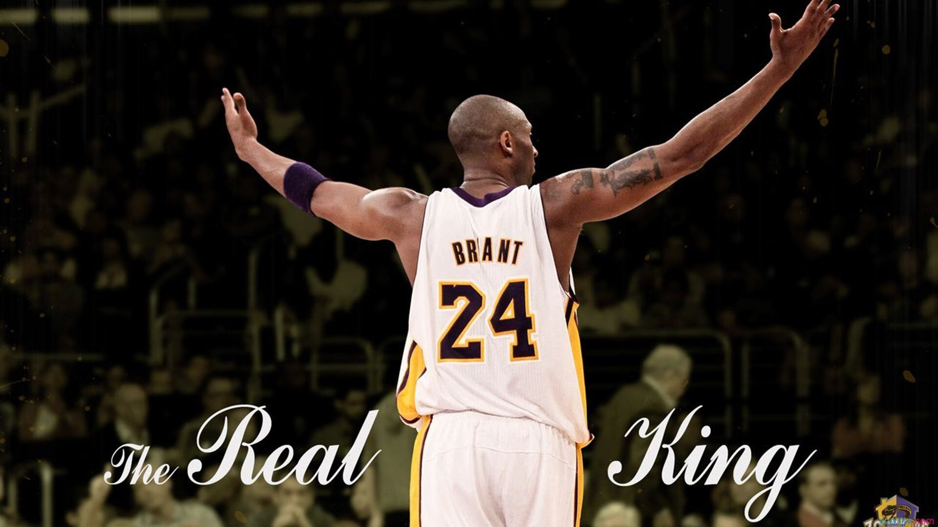 永不熄灭的火种，那个叫詹姆斯的男人，又一次超越归来，永恒之火，再铸传奇，詹姆斯超越归来